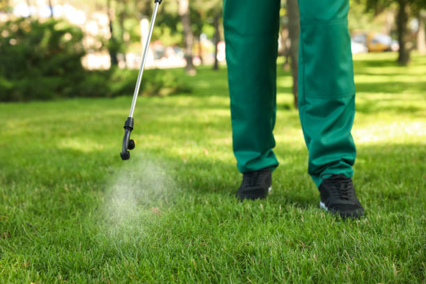 Best Wasp Removal Services  in Owensville, IN
